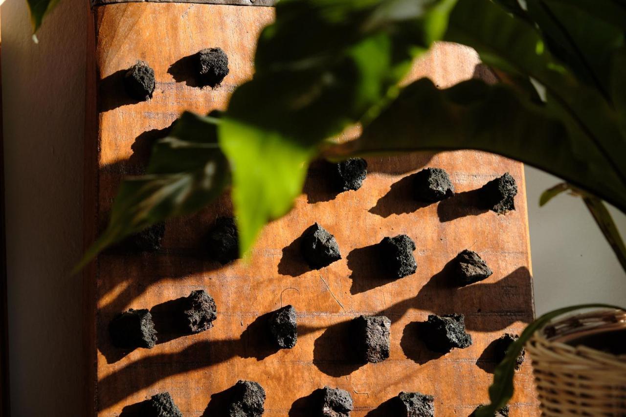 Ecofinca Aulaga Masdache Eksteriør billede